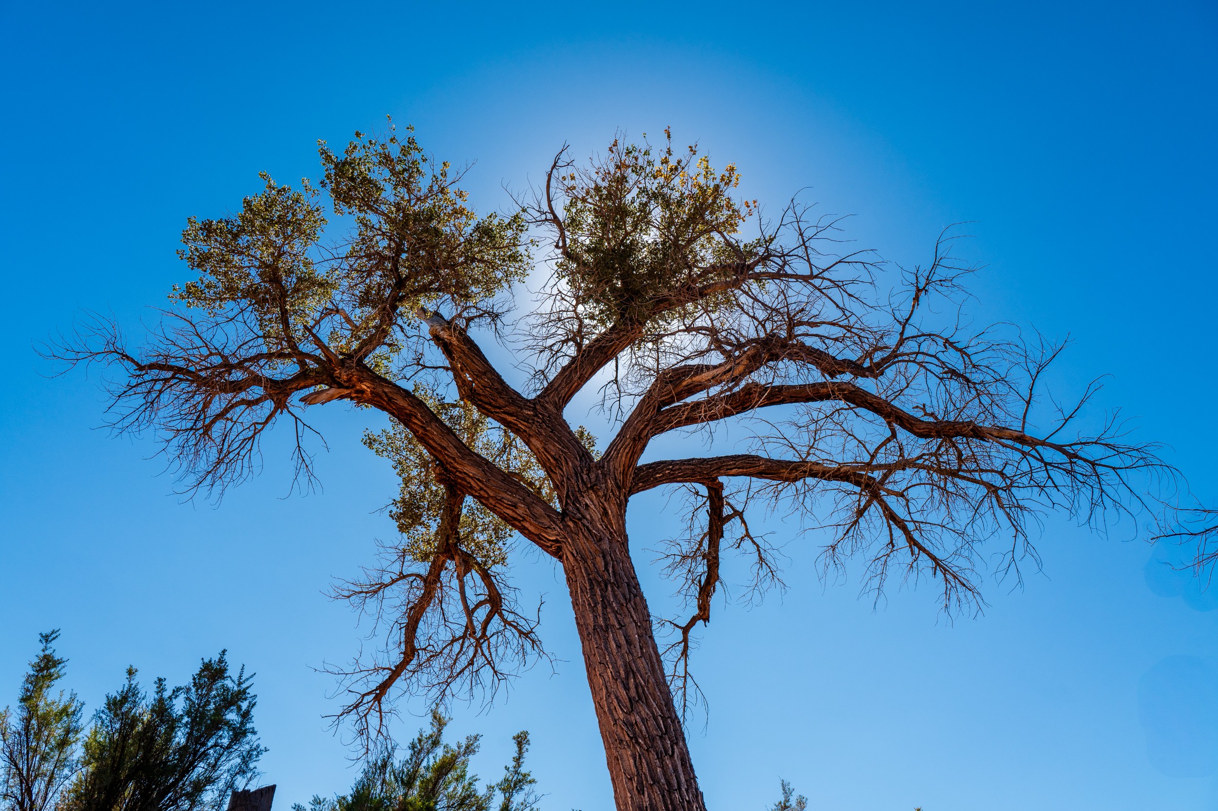 USA 2024 5 Sterne 92